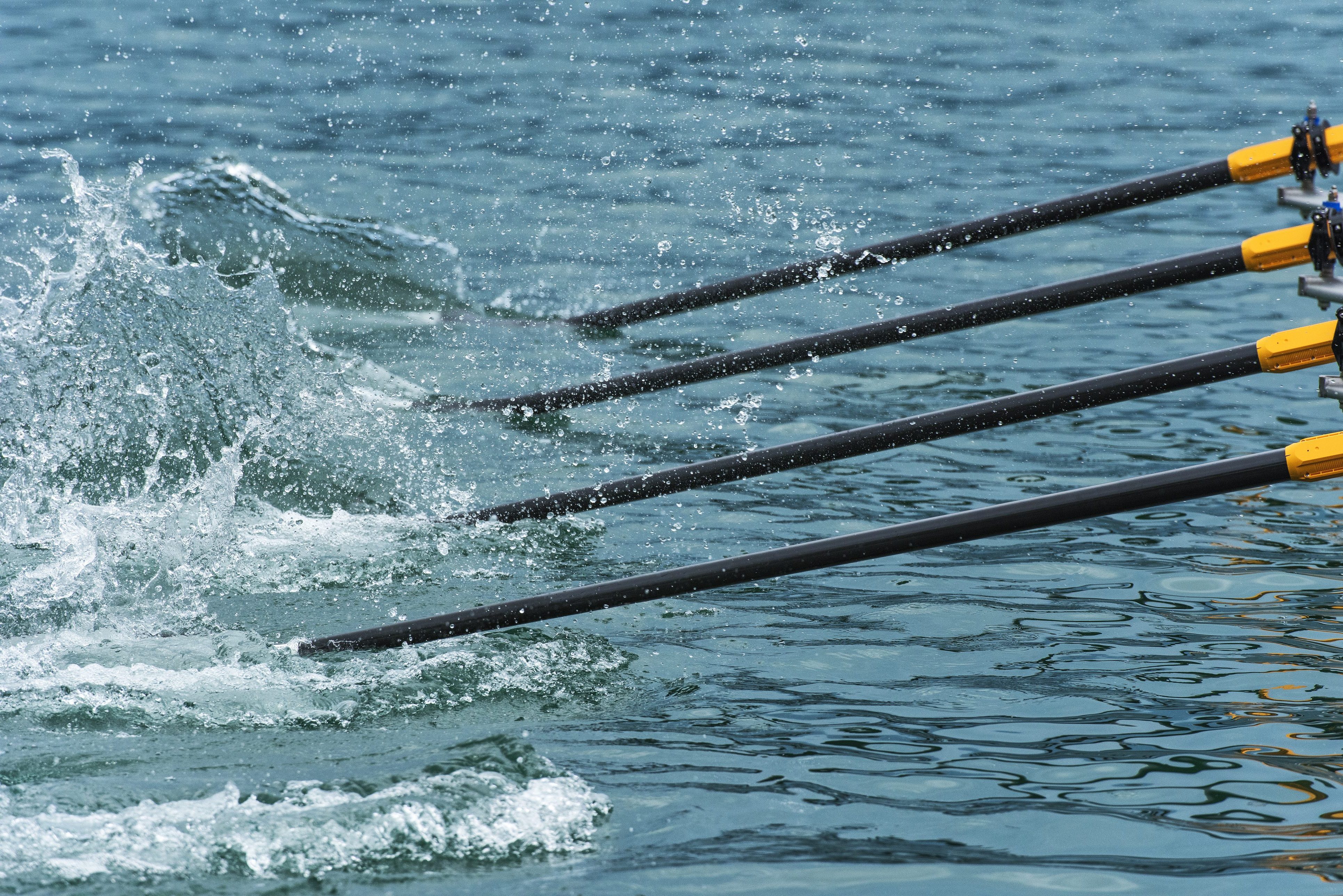 Valizant Close up of rowing oars